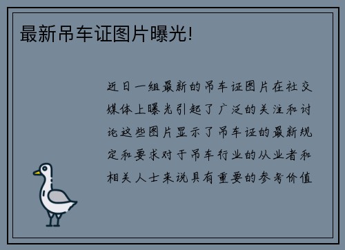 最新吊车证图片曝光!